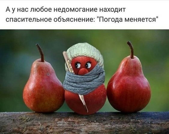 Аунас любое недомогание находит спасительное объяснение Погода меняется