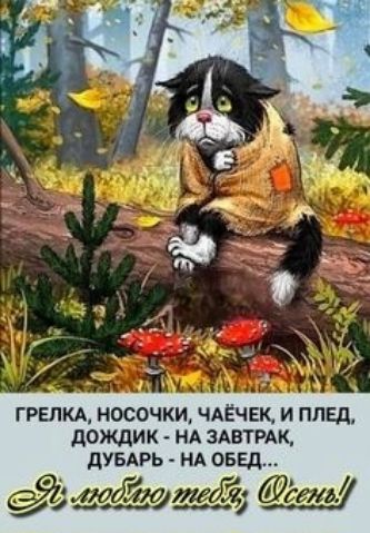 ГРЕЛКА НОСОЧКИ ЧАЁЧЕК И ПЛЕД ДОЖДИК НА ЗАВТРАК ДУБАРЬ НА ОБЕД 0 лобоутей оено