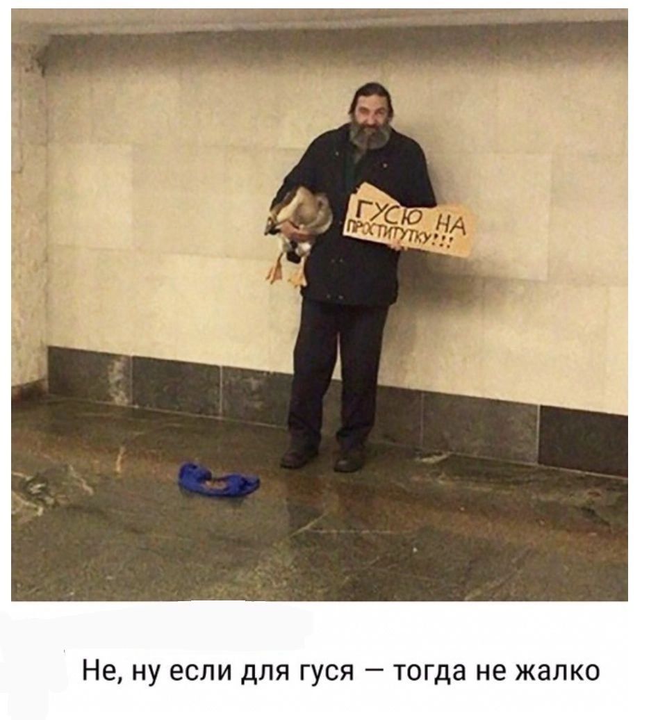 Не ну если для гуся тогда не жалко