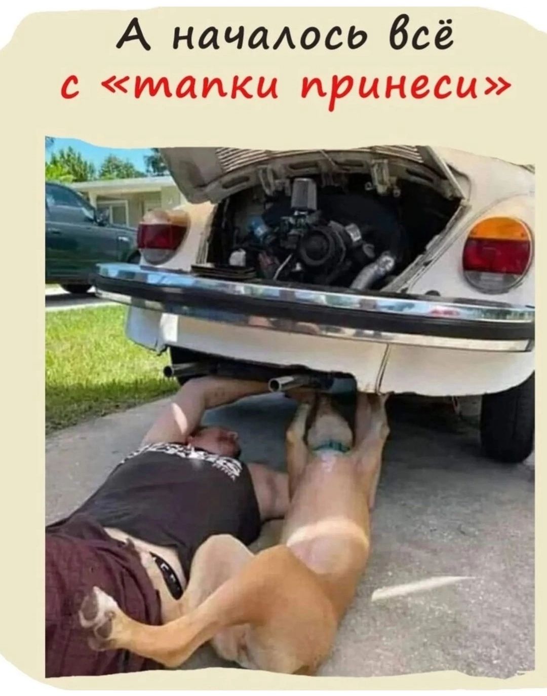 А началось всё