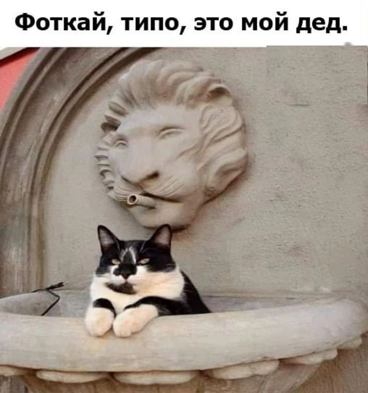 Фоткай типо это мой дед и