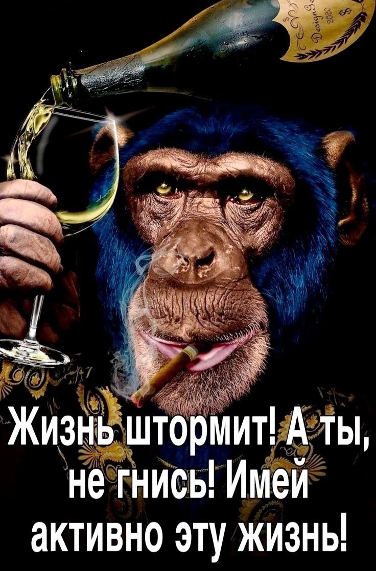 ККи нЁштЁЁиит не гнисъ Имей активно эту жизны