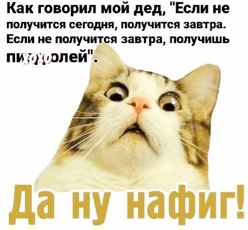 Как говорил мой дед Если не получится сегодня получится завтра Если не получится завтра получишь пигууиолей п у