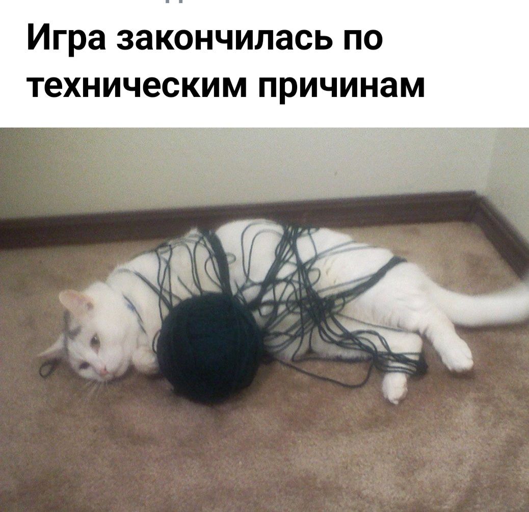 Игра закончилась по техническим причинам