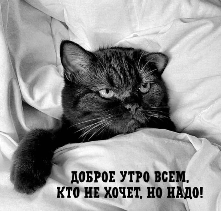 ДОБРОЕ УТРО ВСЕМ КТОНЕХОЧЕТ НО НАДо Ч