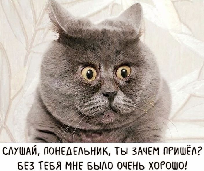 СЛУШАЙ ПОНЕДЕЛЬНИК ТЫ ЗАЧЕМ ПРИШЁЛ БЕЗ ТЕБЯ МНЕ БЫЛО ОЧЕНЬ ХОРОШО
