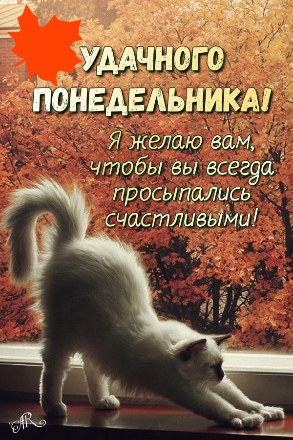 ОНИ желаю вам чтобы ВЫ всегуа_ Просыпались СЧастливыми ы