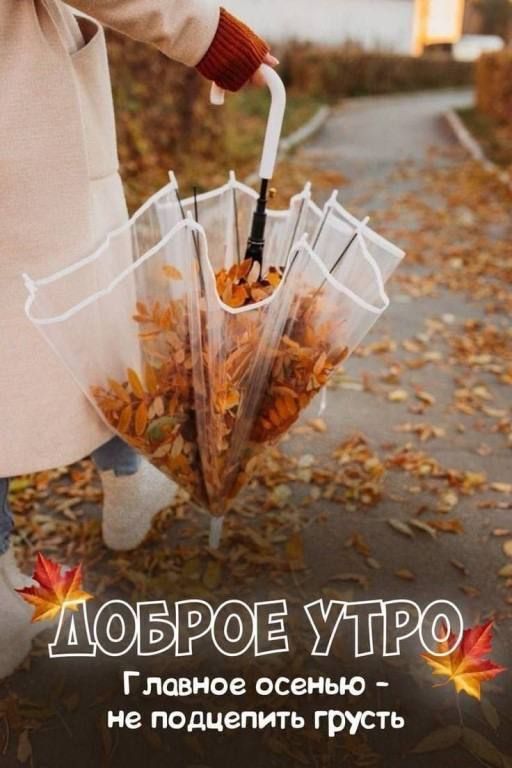 ЛОБРОЕВУО Главное осенью не подцепить грусть