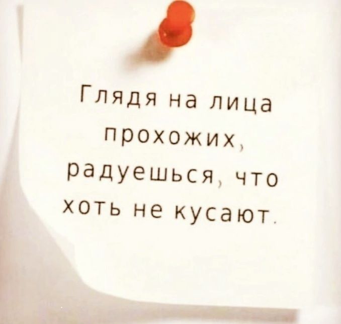 Глядя на лица прохожих радуешься что хоть не кусают