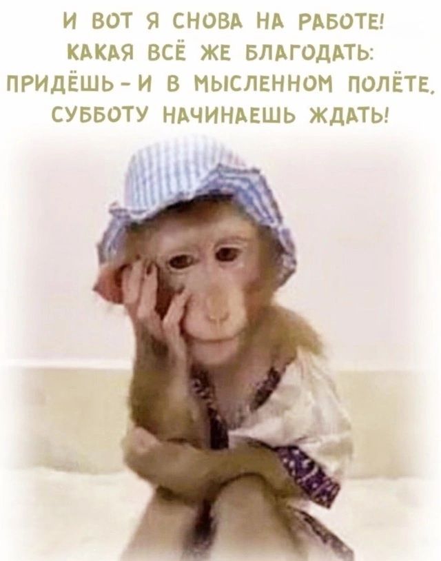 ВА НА Е БЛАГОДАТ