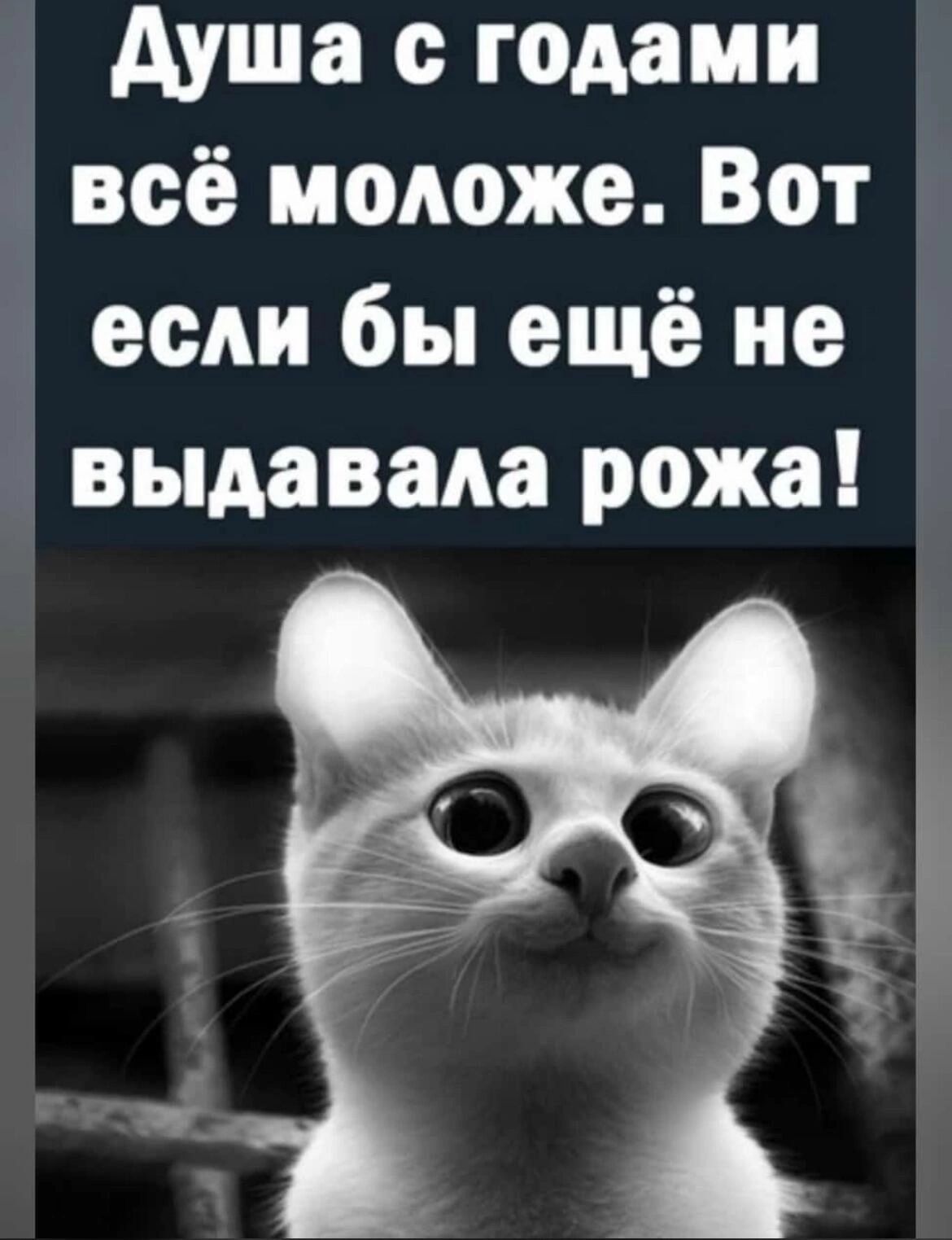 Душа с годами всё моложе Вот если бы ещё не выдавала рожа