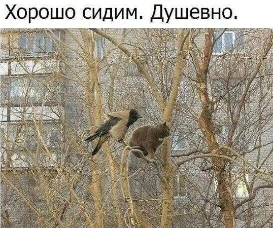 ушевно у