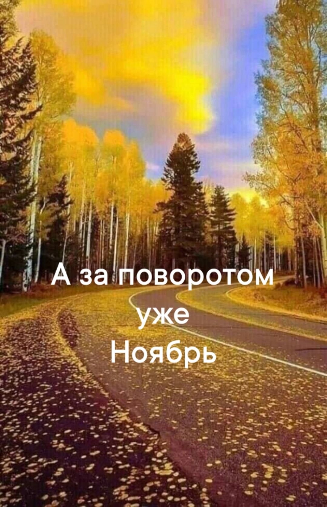 і ЁАза Ёоворото