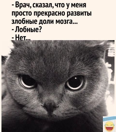 Врач сказал что у меня просто прекрасно развиты злобные доли мозга Лобные