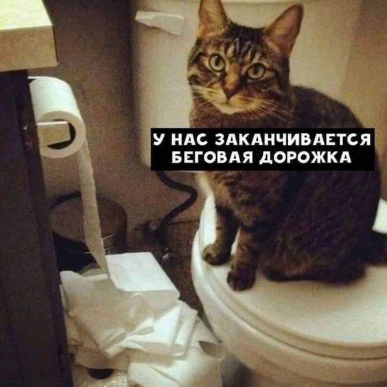 У НАС ЗАКАНЧИВАЕТСЯ БЕГОВАЯ ДОРОЖКА