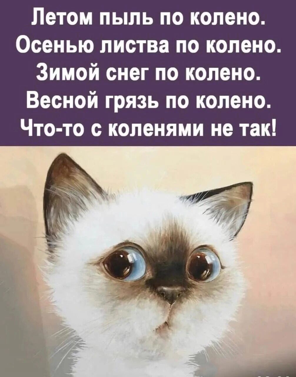 Летом пыль по колено Осенью листва по колено Зимой снег по колено Весной грязь по колено Что то с коленями не так