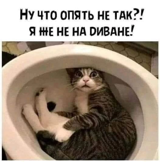 НУ ЧТО ОПЯТЬ НЕ ТАК Я НЕ НЕ НА РИВАНЕ и