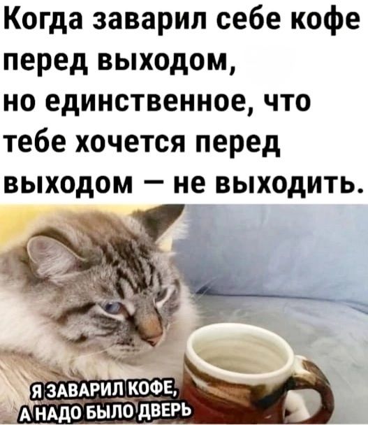 Когда заварил себе кофе перед выходом но единственное что тебе хочется перед выходом не выходить