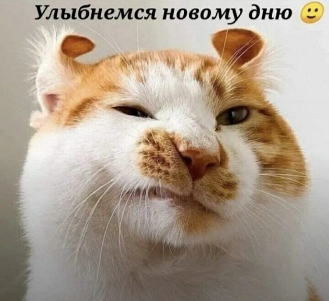 Улыбнемся новому дню