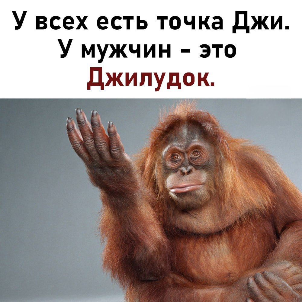 У всех есть точка Джи У мужчин это Джилудок ъ