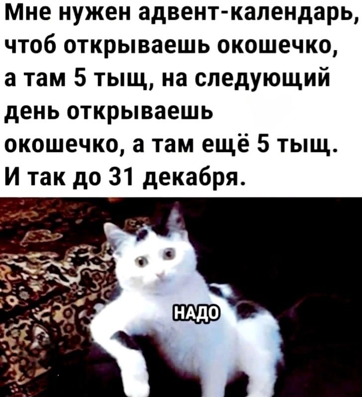 Мне нужен адвент календарь чтоб открываешь окошечко а там 5 тыщ на следующий день открываешь окошечко а там ещё 5 тыщ И так до 31 декабря