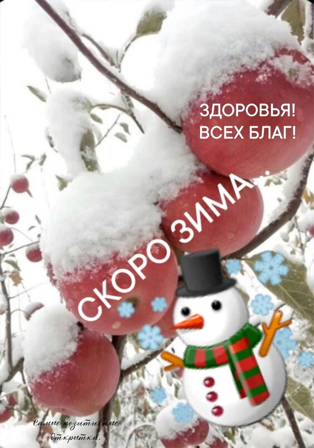 ЗДОРОВЬЯ ВСЕХ БЛАГ