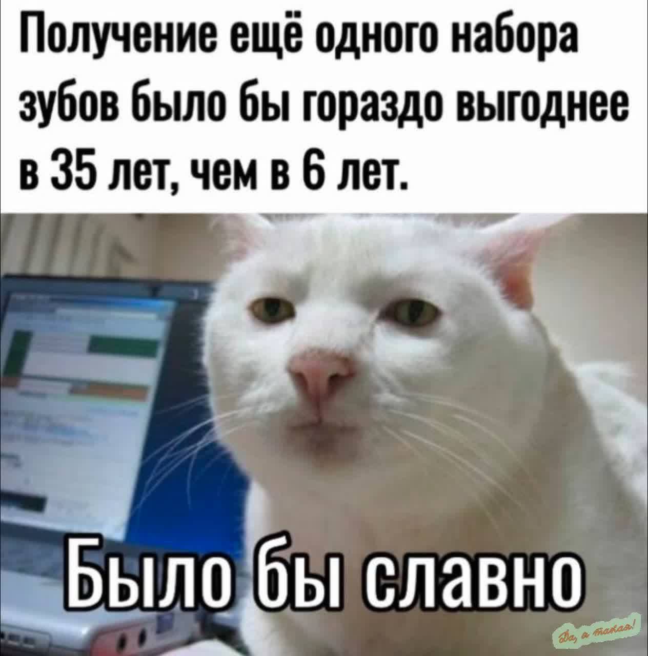 Получение ещё одного набора зубов было бы гораздо выгоднее в 35 лет чем в Б лет Былобы славно