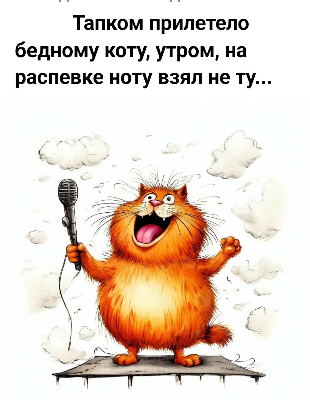 Тапком прилетело бедному коту утром на распевке ноту взял не ту