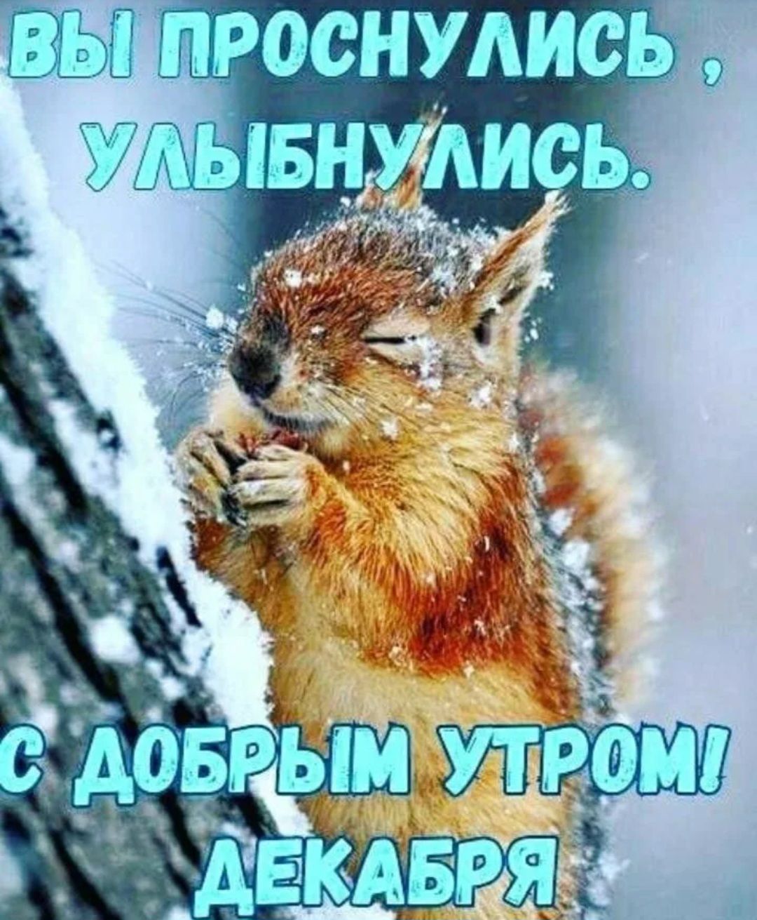 ВЫ ПРОСНУИСЬ о