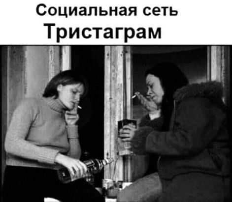 Социальная сеть Тристаграм