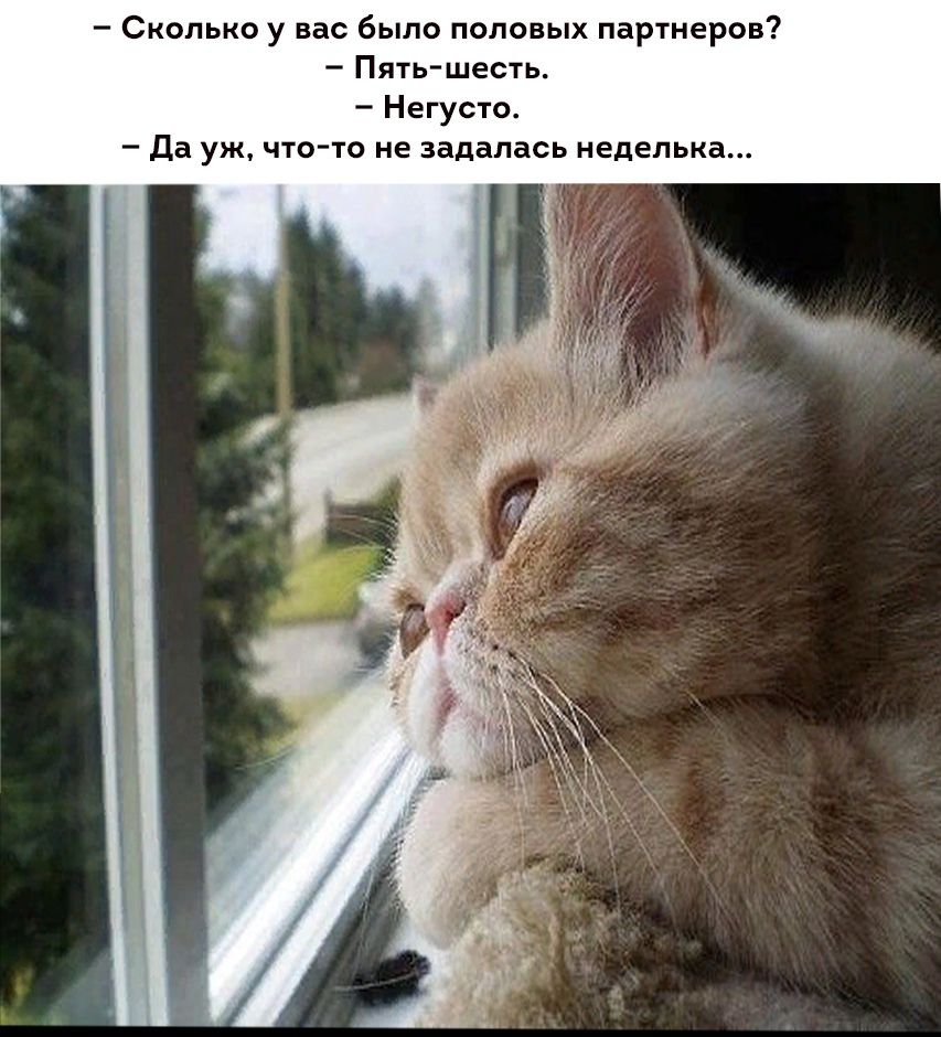 Сколько у вас было половых партнеров Пять шесть Негусто Да уж что то не задалась неделька