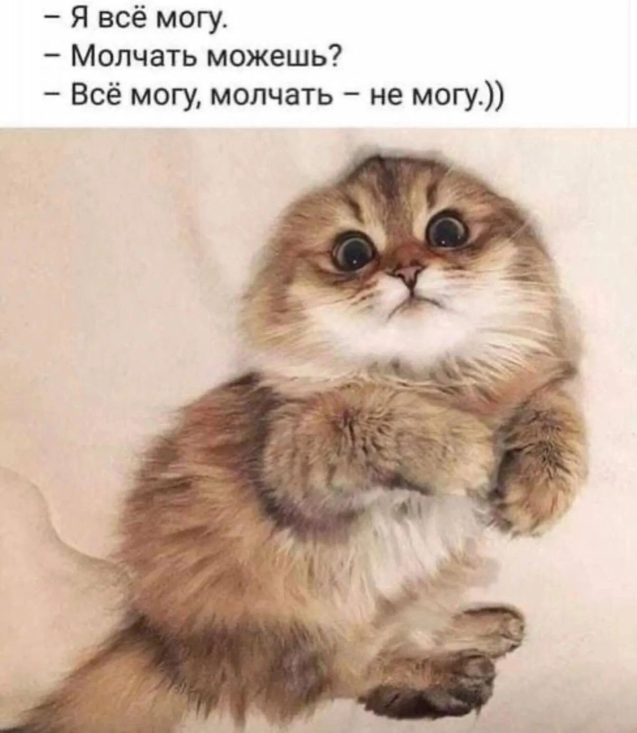 Я всё могу Молчать можешь Всё могу молчать не могу