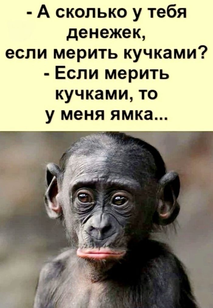 А сколько у тебя денежек если мерить кучками Если мерить кучками то у меня ямка