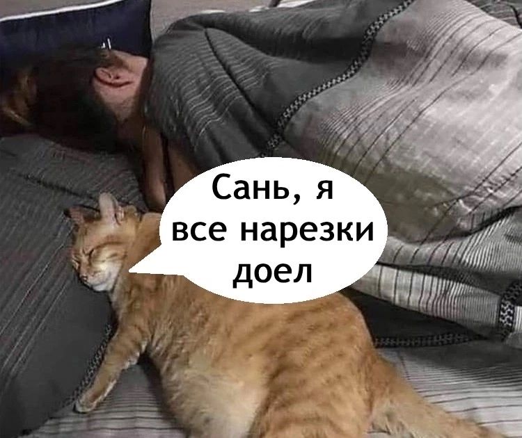 Сань я все нарезки