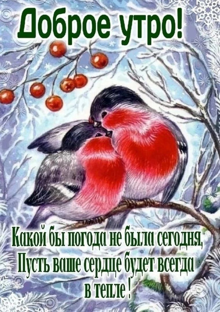 т ЕБ Вокой бы погоди не ло егодн 3 усть воше сердцебудет ВСегДо Втеле З