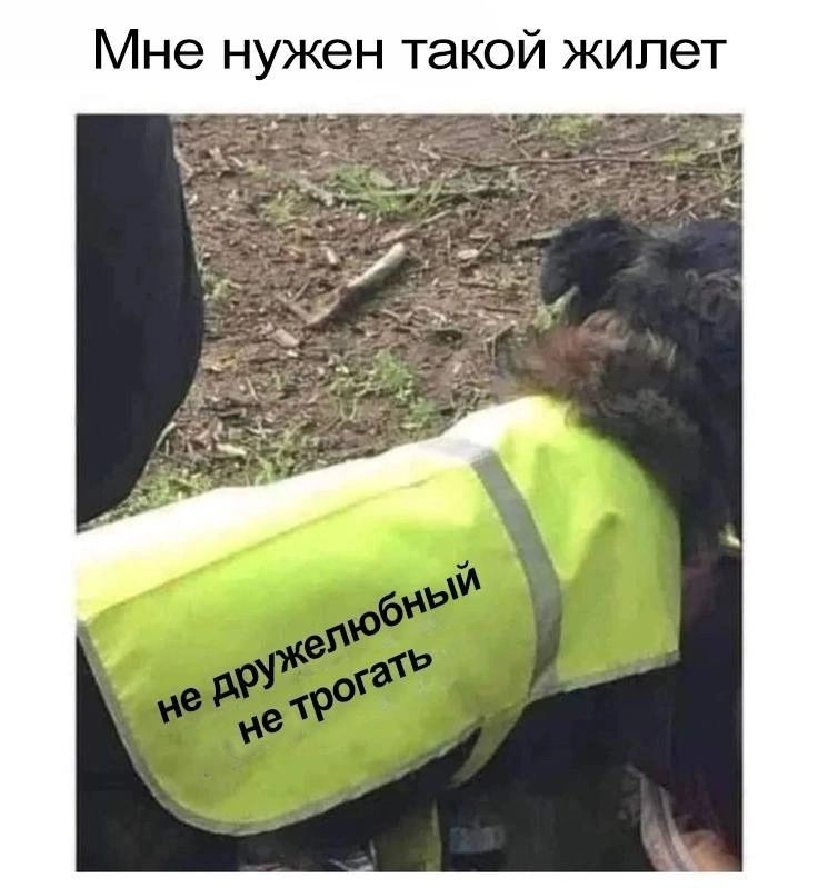 Мне нужен такой жилет