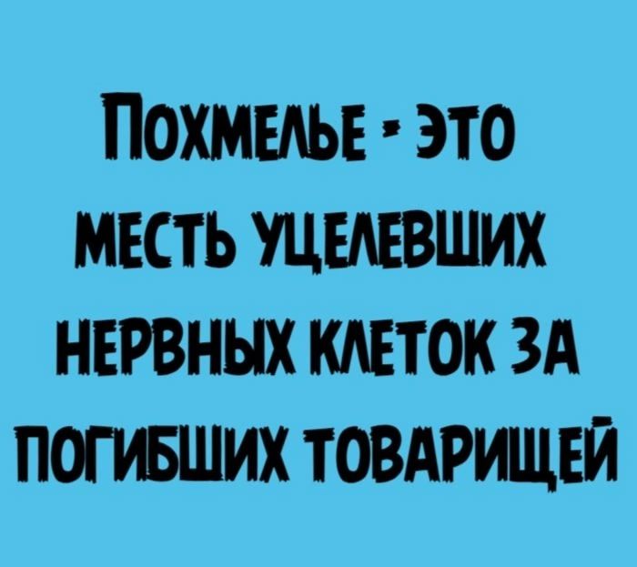 ПОХМЕЛЬЕ ЭТО МЕСТЬ УЦЕЛЕВШИХ НЕРВНЫХ КЛЕТОК ЗА ПОГИБШИХ ТОВАРИЩЕЙ