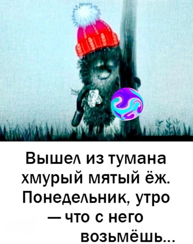 Вышел из тумана хмурый мятый ёж Понедельник утро что с него возьмёшь