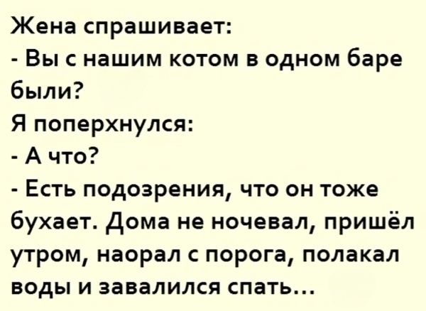 Жена спрашивает Вы с нашим котом в одном баре были Я поперхнулся Ачто Есть подозрения что он тоже бухает Дома не ночевал пришёл утром наорал с порога полакал воды и завалился спать