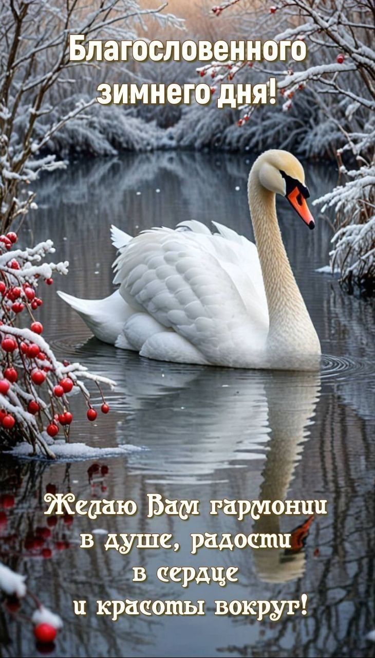 в цердце Й ъ и красомы вокрут