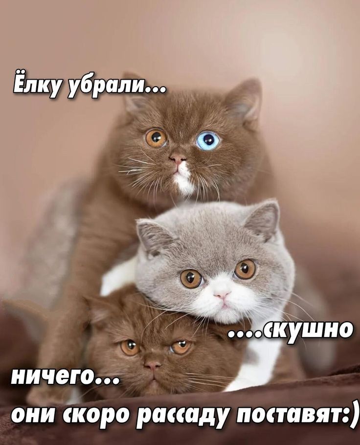 Жкушно ничего 5 они скоро рассаду поставят