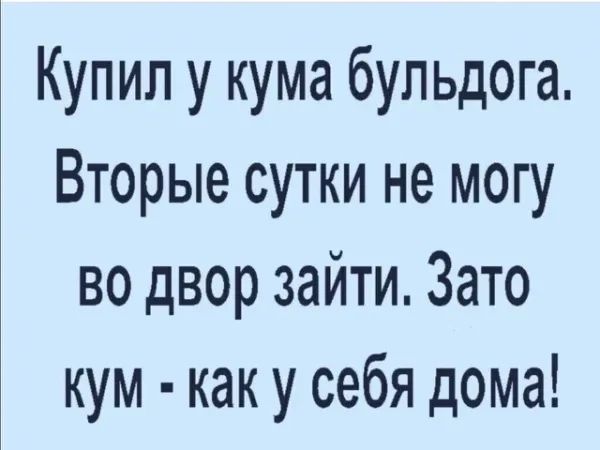 Купил у кума бульдога Вторые сутки не могу во двор зайти Зато кум как у себя дома