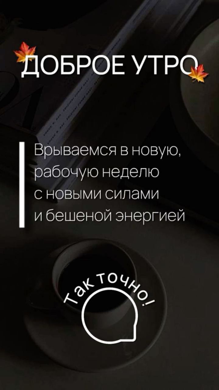 ЖОБРОЕ УТРО Врываемся в новую рабочую неделю сновыми силами и бешеной энергией _ТОЧ ФС