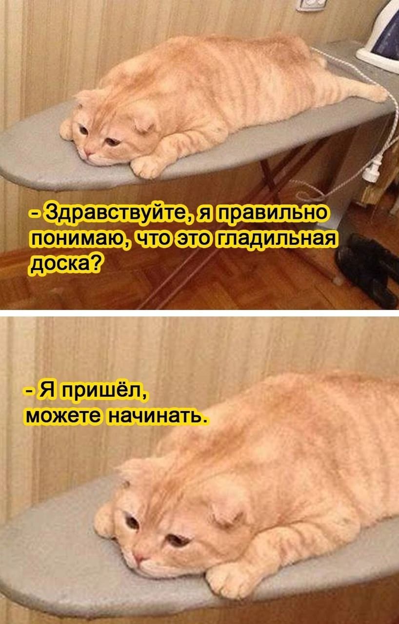 Я пришёл можете начинать