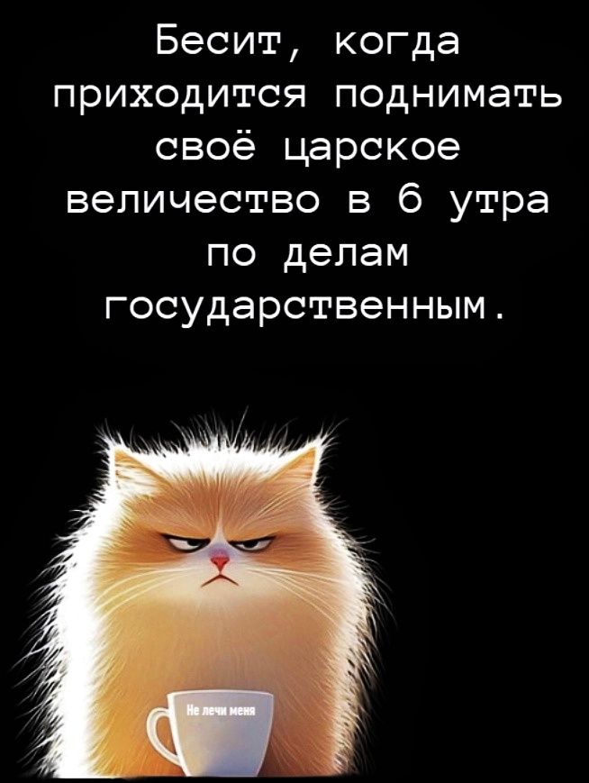 Бесит когда приходится поднимать своё царское величество в 6 утра по делам государственным