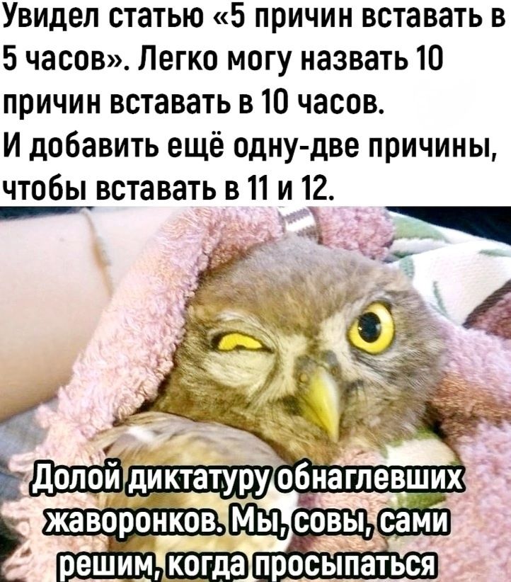 Увидел статью 5 причин вставать в 5 часов Легко могу назвать 10 причин вставать в 10 часов И добавить ещё одну две причины чтобы вставать в 11 и 12