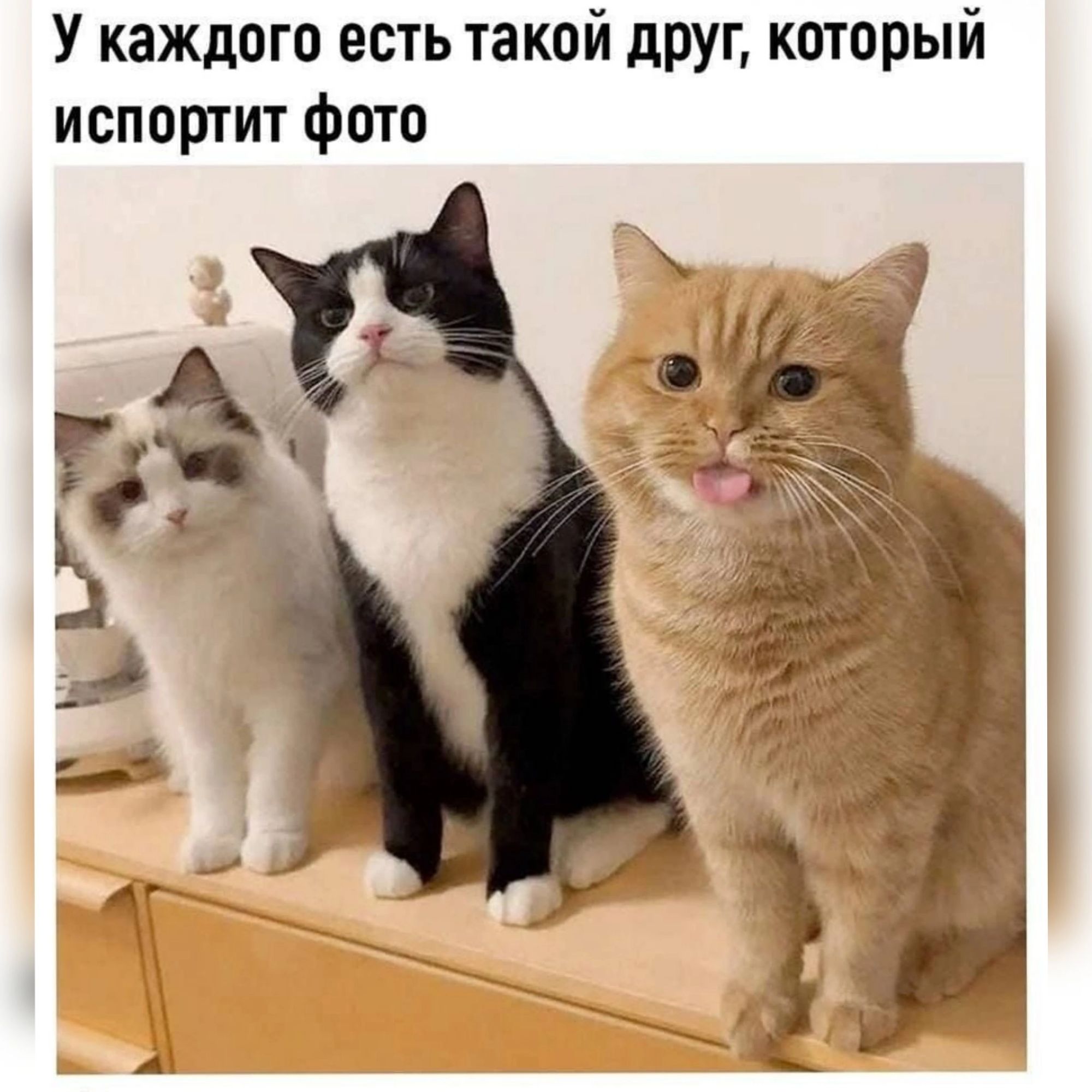 У каждого есть такой друг который испортит фото