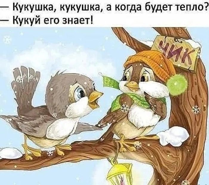 Кукушка кукушка а когда будет тепло Кукуй его знает