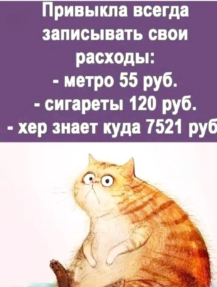 Привыкла всегда записывать свои расходы метро 55 руб сигареты 120 руб хер знает куда 7521 руб