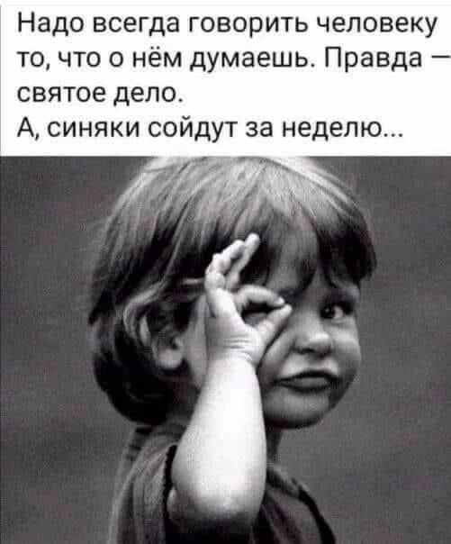 Надо всегда говорить человеку то что о нём думаешь Правда святое дело А синяки сойдут за неделю